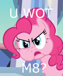 Size: 574x693 | Tagged: safe, pinkie pie, g4, funny face, meme, reaction image, u wot m8