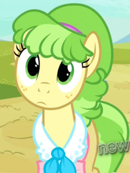 Size: 318x424 | Tagged: safe, screencap, chickadee, ms. peachbottom, pony, g4, games ponies play, season 3, cute