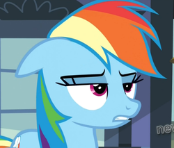 Size: 545x465 | Tagged: safe, screencap, rainbow dash, g4, games ponies play, reaction image