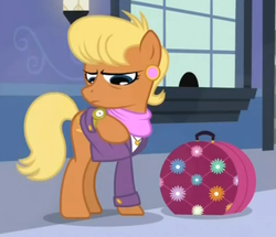 Size: 520x447 | Tagged: safe, screencap, ms. harshwhinny, earth pony, pony, g4, games ponies play, female, floral print, games inspector, luggage, solo, suitcase, watch