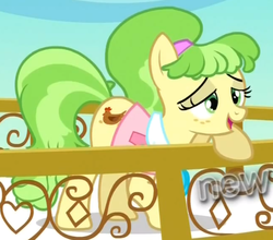 Size: 541x476 | Tagged: safe, screencap, chickadee, ms. peachbottom, pony, g4, games ponies play