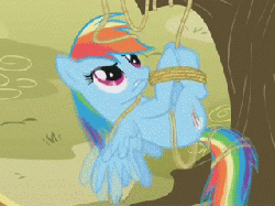 Size: 320x240 | Tagged: safe, screencap, rainbow dash, pony, fall weather friends, g4, animated, bondage, female, hogtied, invisible stallion, out of context, rope, solo, suspended, tied up