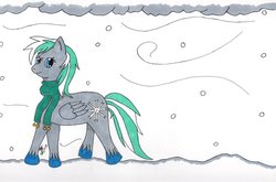 Size: 1024x677 | Tagged: safe, artist:senna-x, oc, oc only, pegasus, pony, winter