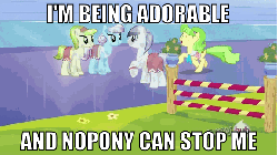 Size: 576x324 | Tagged: safe, edit, edited screencap, screencap, berry splash, chickadee, ms. peachbottom, periwinkle pace, toastie, crystal pony, pony, g4, games ponies play, and nopony can stop me, animated, cute, female, hub logo, i'm being adorable and no one can stop me!, image macro, long jump, male