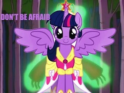 Size: 384x288 | Tagged: safe, edit, twilight sparkle, g4, alicorn drama, all caps, image macro, male, only dreams now, text, the simpsons, twilight sparkle (alicorn)