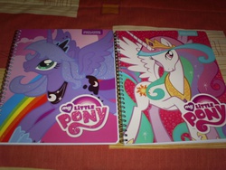 Size: 1024x768 | Tagged: safe, princess celestia, princess luna, g4, dear-princesscelestia, notebook