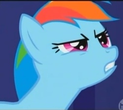 Size: 378x338 | Tagged: safe, screencap, rainbow dash, friendship is magic, g4, bust, cropped, portrait, reaction image, solo