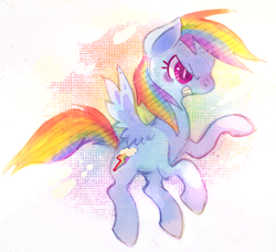 Size: 1050x957 | Tagged: safe, artist:chocochimbu, rainbow dash, pony, g4, female, solo