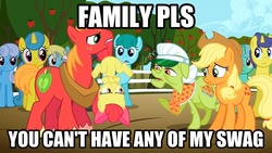 Size: 1280x720 | Tagged: safe, apple bloom, applejack, big macintosh, granny smith, earth pony, pony, g4, image macro, male, stallion, swag