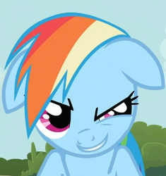 Size: 406x432 | Tagged: safe, screencap, rainbow dash, g4, bust, portrait, solo, wink