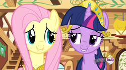 Size: 854x475 | Tagged: safe, screencap, fluttershy, twilight sparkle, pegasus, pony, unicorn, g4, magical mystery cure, season 3, a true true friend, big crown thingy, element of magic, female, hub logo, lidded eyes, logo, looking at each other, looking at someone, mare, the hub, unicorn twilight
