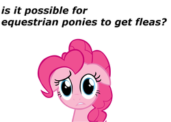 Size: 1080x769 | Tagged: safe, pinkie pie, earth pony, pony, g4, female, solo, text