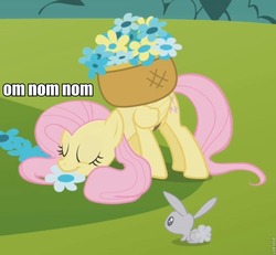 Size: 797x737 | Tagged: safe, edit, edited screencap, screencap, fluttershy, pony, rabbit, g4, swarm of the century, eating, eyes closed, grazing, herbivore, horses doing horse things, nom, smiling