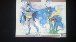 Size: 1023x577 | Tagged: safe, artist:andy price, idw, princess luna, g4, batman, cosplay, i am the night, robin