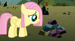 Size: 1024x561 | Tagged: safe, artist:dacowta, edit, edited screencap, screencap, fluttershy, pegasus, pony, g4, magical mystery cure, the cutie mark chronicles, character swap, female, filly, filly fluttershy, foal, rock, rock farm, younger
