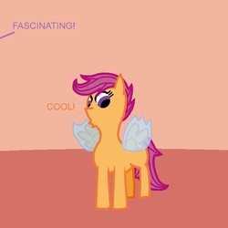Size: 600x600 | Tagged: safe, scootaloo, changeling, g4, full body, solo, spread wings, wings