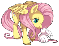 Size: 800x626 | Tagged: safe, artist:kaceymeg, angel bunny, fluttershy, g4, cute, unshorn fetlocks