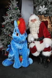 Size: 2136x3216 | Tagged: safe, rainbow dash, g4, furry, fursuit, irl, photo, santa claus, wat