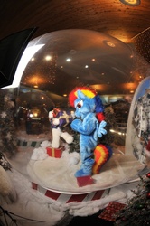 Size: 2136x3216 | Tagged: safe, rainbow dash, human, g4, christmas, fursuit, irl, irl human, photo