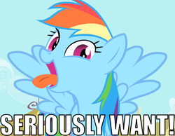 Size: 900x700 | Tagged: safe, rainbow dash, g4, caption, image macro, reaction image, tongue out, want