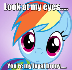 Size: 900x873 | Tagged: safe, rainbow dash, g4, brony, bronybait, eyes, hypnosis, pet, stare