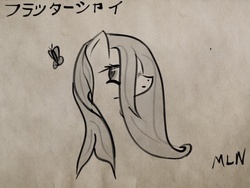 Size: 2048x1536 | Tagged: safe, artist:mylittleninja, fluttershy, g4, face, ink, japanese, katakana