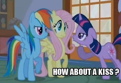 Size: 494x341 | Tagged: safe, fluttershy, rainbow dash, twilight sparkle, pony, unicorn, bridle gossip, g4, bedroom eyes, female, floppy ears, image macro, kiss me, kissing, lesbian, ship:twishy, shipping, unicorn twilight