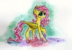 Size: 2342x1619 | Tagged: safe, artist:smartmeggie, fluttershy, pony, g4, female, solo, traditional art