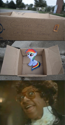 Size: 580x1118 | Tagged: safe, rainbow dash, pegasus, pony, g4, dashie meme, evil people finding dash meme, exploitable meme, filly, steve urkel