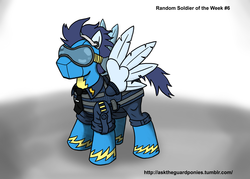 Size: 2450x1750 | Tagged: safe, soarin', series:ask the guard ponies, g4, commission, goggles, wonderbolts