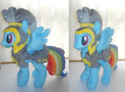 Size: 1002x740 | Tagged: safe, artist:sophie scruggs, commander hurricane, rainbow dash, pegasus, pony, g4, irl, photo, plushie