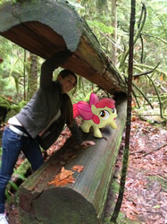 Size: 562x750 | Tagged: safe, apple bloom, earth pony, human, pony, g4, human ponidox, irl, meta, michelle creber, photo, ponies in real life, voice actor