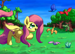 Size: 2000x1440 | Tagged: safe, artist:weedgoku1488, fluttershy, bird, g4