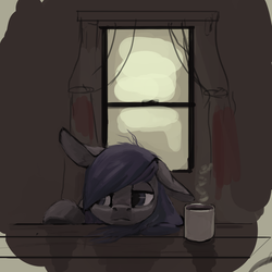 Size: 1280x1280 | Tagged: safe, artist:erijt, oc, oc only, oc:sable, coffee, tired, window