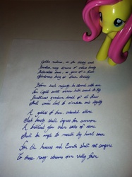 Size: 1936x2592 | Tagged: safe, fluttershy, g4, irl, photo, poem, sonnet, toy