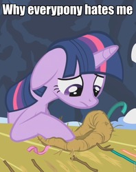 Size: 717x905 | Tagged: safe, edit, edited screencap, screencap, twilight sparkle, pony, unicorn, g4, season 1, winter wrap up, adventure in the comments, alicorn drama, cropped, female, floppy ears, grammar error, hate, image macro, nest, sad, solo, unicorn twilight