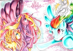 Size: 6912x4849 | Tagged: safe, artist:kimmynyan, derpy hooves, fluttershy, princess cadance, rainbow dash, pegasus, pony, g4, absurd resolution, female, mare, traditional art