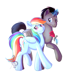 Size: 1024x1026 | Tagged: safe, artist:starkindlerstudio, rainbow dash, oc, g4, canon x oc, female, male, shipping, straight