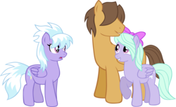 Size: 2443x1492 | Tagged: safe, artist:ludiculouspegasus, cloudchaser, flitter, hoops, pegasus, pony, g4, female, flitterhoops, male, mare, shipping, simple background, stallion, straight, transparent background, vector