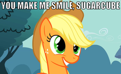 Size: 978x600 | Tagged: safe, applejack, g4, the last roundup, bronybait, cute, heartwarming, image macro, smiling