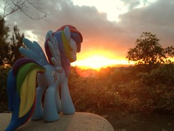 Size: 3264x2448 | Tagged: safe, artist:gregdawg, rainbow dash, g4, contest, figure, funko, irl, photo, photography, sky, sun, sunset, toy