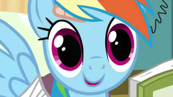 Size: 1436x811 | Tagged: safe, screencap, rainbow dash, pony, g4, read it and weep, book, bust, female, looking at you, solo