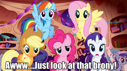 Size: 1280x717 | Tagged: safe, edit, edited screencap, screencap, applejack, fluttershy, minuette, pinkie pie, rainbow dash, rarity, friendship is magic, g4, brony, bronybait, caption, cute, fourth wall, varying degrees of want