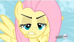 Size: 823x471 | Tagged: safe, screencap, fluttershy, pony, g4, keep calm and flutter on, angry, female, frown, glare, gritted teeth, solo, spread wings