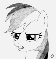 Size: 600x627 | Tagged: safe, artist:stingray-24, rainbow dash, g4, monochrome, sketch