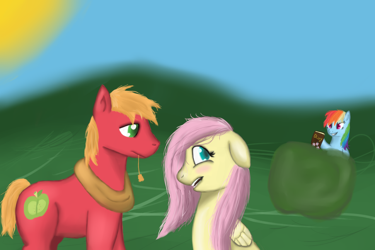 safe, artist:saturnstar14, big macintosh, fluttershy, <b>rainbow</b> <b>dash</b>, earth p...