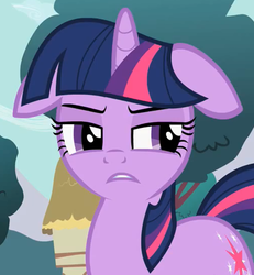 Size: 504x546 | Tagged: safe, twilight sparkle, pony, g4, disgusted, female, floppy ears, reaction image, solo