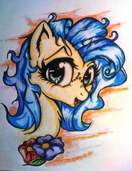 Size: 1024x1324 | Tagged: safe, artist:tomek2289, oc, oc only, oc:milky way, pony, chest fluff, female, mare, solo, traditional art