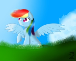 Size: 1280x1024 | Tagged: safe, artist:mechashockwave, rainbow dash, g4, day, grass, side view, sitting, solo, sunlight