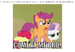 Size: 634x445 | Tagged: safe, edit, edited screencap, screencap, scootaloo, g4, angry, animated, come at me bro, female, revealed facts, scootaloo can't fly